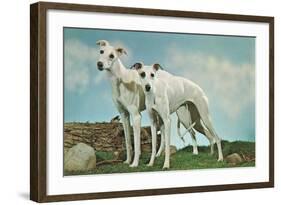 Two Young Greyhounds-null-Framed Art Print