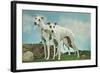 Two Young Greyhounds-null-Framed Art Print