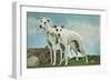 Two Young Greyhounds-null-Framed Art Print