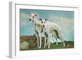 Two Young Greyhounds-null-Framed Art Print