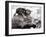 Two Young Kittens Playing with a Slow Moving Giant Tortoise, 1983-null-Framed Premium Photographic Print