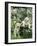 Two Young Labradors in a Daisy Field, UK-Jane Burton-Framed Photographic Print