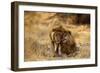 Two Young Males Rubbing Heads-null-Framed Photographic Print