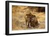 Two Young Males Rubbing Heads-null-Framed Photographic Print