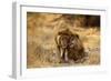 Two Young Males Rubbing Heads-null-Framed Photographic Print