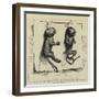 Two Young Marmozets, the First Ever Bred in Europe-null-Framed Giclee Print