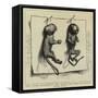 Two Young Marmozets, the First Ever Bred in Europe-null-Framed Stretched Canvas