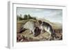 Two Young Seals on the Shore, circa 1650-Paul De Vos-Framed Giclee Print