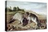 Two Young Seals on the Shore, circa 1650-Paul De Vos-Stretched Canvas