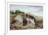 Two Young Seals on the Shore, circa 1650-Paul De Vos-Framed Giclee Print
