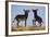 Two Young Wild Burro (Donkey) (Equus Asinus) (Equus Africanus Asinus) Playing-James Hager-Framed Photographic Print