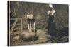 Two Young Women Tend to Pigs in Their Pen-null-Stretched Canvas