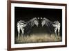 Two Zebras Mirrored-Sheila Haddad-Framed Photographic Print