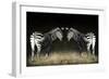 Two Zebras Mirrored-Sheila Haddad-Framed Photographic Print