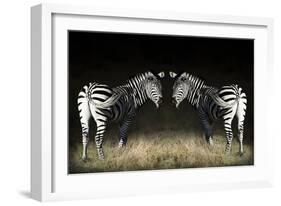 Two Zebras Mirrored-Sheila Haddad-Framed Photographic Print