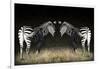 Two Zebras Mirrored-Sheila Haddad-Framed Photographic Print