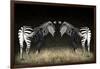 Two Zebras Mirrored-Sheila Haddad-Framed Photographic Print