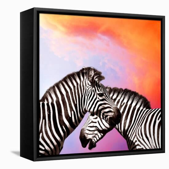 Two Zebras On The Sky-yuran-78-Framed Stretched Canvas