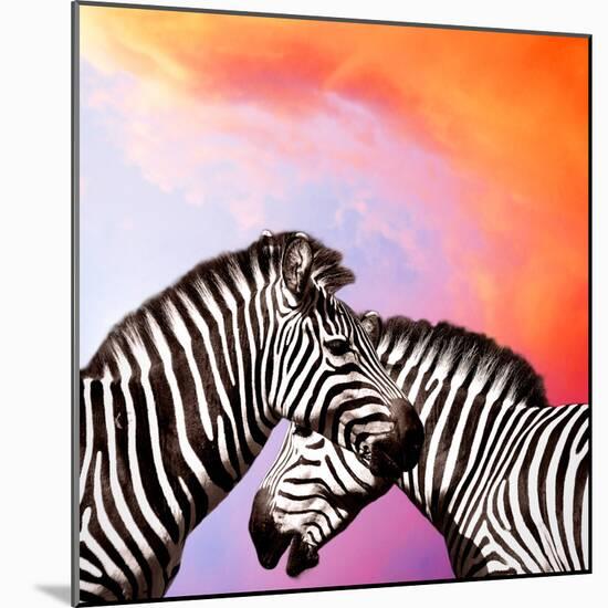 Two Zebras On The Sky-yuran-78-Mounted Photographic Print