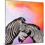 Two Zebras On The Sky-yuran-78-Mounted Photographic Print