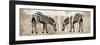 Two Zebras-Erin Clark-Framed Giclee Print