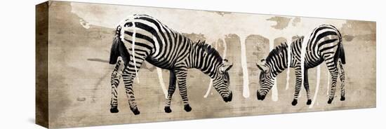 Two Zebras-Erin Clark-Stretched Canvas