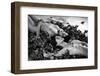 Two-E Amer-Framed Photographic Print