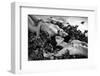 Two-E Amer-Framed Photographic Print