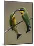 TwonLittle Bee-Eaters-Art Wolfe-Mounted Photographic Print