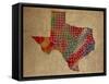 TX Colorful Counties-Red Atlas Designs-Framed Stretched Canvas