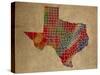 TX Colorful Counties-Red Atlas Designs-Stretched Canvas