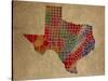 TX Colorful Counties-Red Atlas Designs-Stretched Canvas