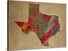 TX Colorful Counties-Red Atlas Designs-Stretched Canvas