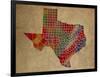 TX Colorful Counties-Red Atlas Designs-Framed Giclee Print