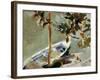 Txalupa Zutoin Bati Lotua, Adar Artean-Joaquín Sorolla y Bastida-Framed Art Print