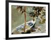 Txalupa Zutoin Bati Lotua, Adar Artean-Joaquín Sorolla y Bastida-Framed Art Print