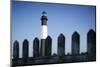 Tybee Lighthouse, Georgia-Paul Souders-Mounted Photographic Print