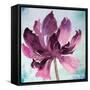 Tye Dye Floral I-Asia Jensen-Framed Stretched Canvas