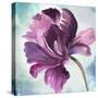 Tye Dye Floral II-Asia Jensen-Stretched Canvas