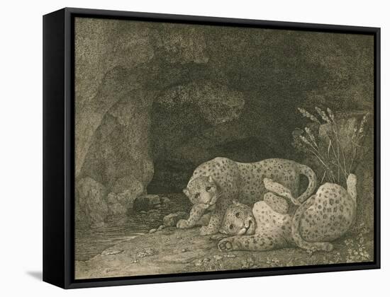 Tygers at Play, Engraved by the Artist, Pub. 1789-George Stubbs-Framed Stretched Canvas