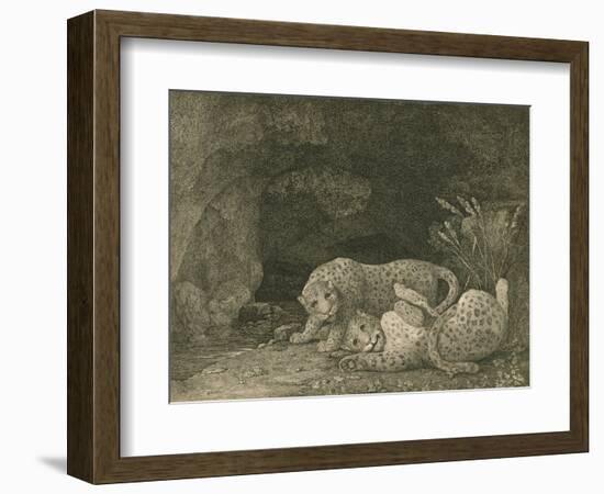 Tygers at Play, Engraved by the Artist, Pub. 1789-George Stubbs-Framed Giclee Print