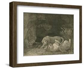 Tygers at Play, Engraved by the Artist, Pub. 1789-George Stubbs-Framed Giclee Print