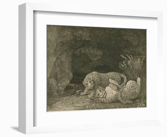 Tygers at Play, Engraved by the Artist, Pub. 1789-George Stubbs-Framed Giclee Print