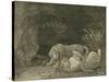 Tygers at Play, Engraved by the Artist, Pub. 1789-George Stubbs-Stretched Canvas