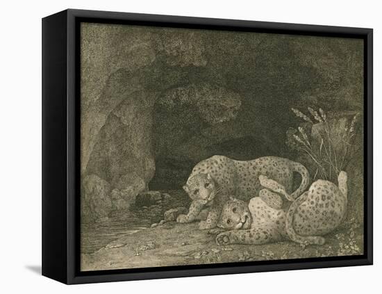Tygers at Play, Engraved by the Artist, Pub. 1789-George Stubbs-Framed Stretched Canvas