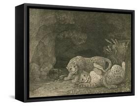 Tygers at Play, Engraved by the Artist, Pub. 1789-George Stubbs-Framed Stretched Canvas