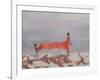 Tying a Sari, India, 2012-Lincoln Seligman-Framed Giclee Print