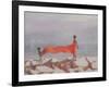 Tying a Sari, India, 2012-Lincoln Seligman-Framed Giclee Print