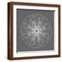 Brown Frame