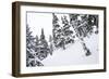 Tyler Hatcher Skis A Powder Haven During Winter Whiteout In The Backcountry, Mt Baker Ski Area WA-Jay Goodrich-Framed Photographic Print